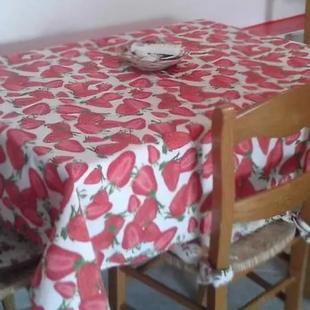 Casa 아파트